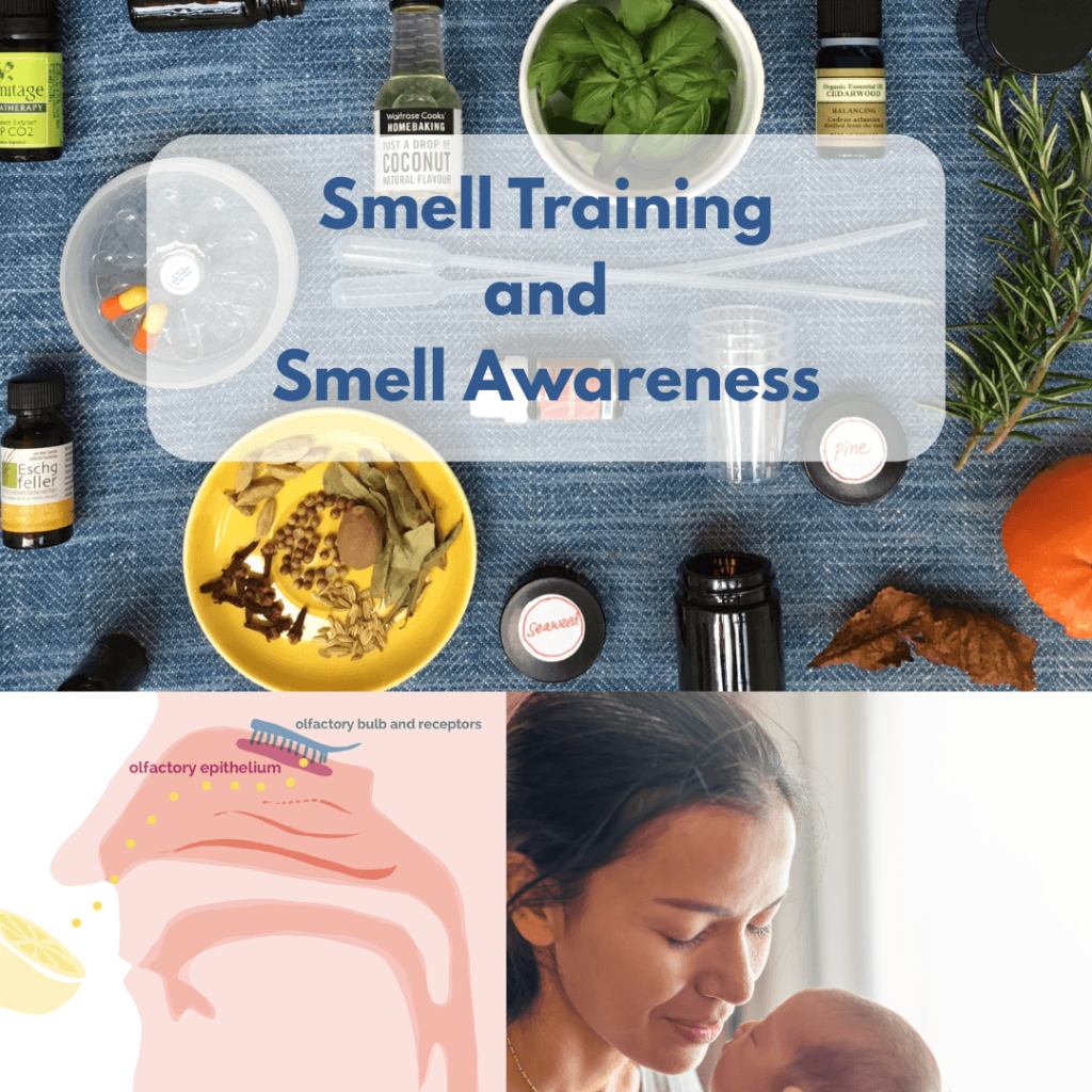 Composite image showing smell training materials including essential oils and herbs, an illustration of the olfactory system, and a woman smelling a newborn baby's head.